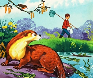 Images Dated 29th November 2007: Fliptail the otter