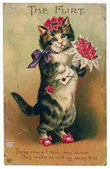 THE FLIRT CAT 19C
