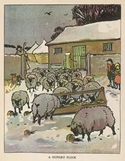 Trough Prints: Flock of Sheep in Snow