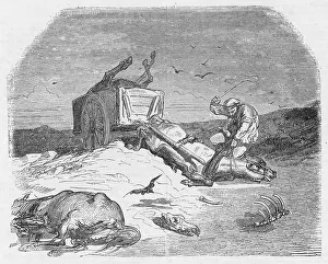 Draw Prints: FLOGGING NEAR-DEAD HORSE