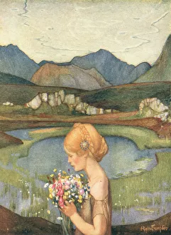 Leads Collection: Flora Of The Fells