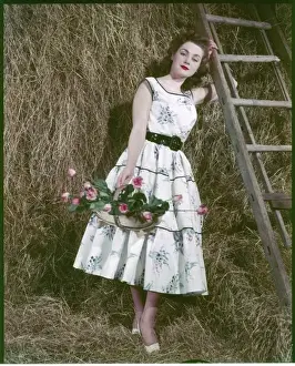 Floral Print Dress
