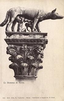 Images Dated 6th April 2011: Florence, Italy - Siena - Romulus and Remus