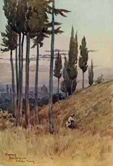 Florence from Poggio Gherardo, Settignano, Italy