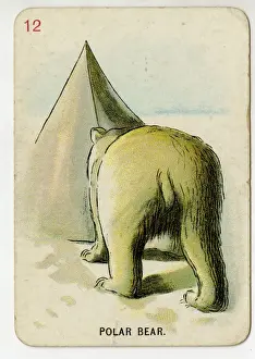 Upton Prints: Florence Upton playing cards - Polar Bear