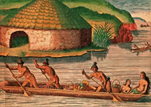 Indians Collection: The Florida. 16th century. Timucua Indian village. Food tran