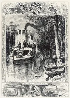 Florida Swamp / Steamer
