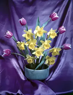 Tulip Prints: Flower arrangement with daffodils and tulips