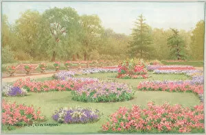 Affleck Gallery: Flower Beds, Kew Gardens