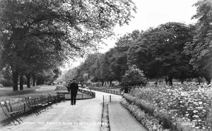 Surroundings Prints: The Flower Beds in Regent's Park
