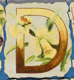Ceative Prints: FLOWER D