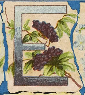 Ceative Prints: FLOWER E