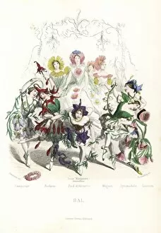 Fuchsia Collection: Flower fairy dancers at a ball