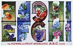 Flower & Fruit ABC