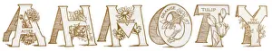 Flower & Fruit ABC