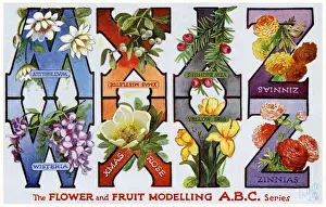 Flower & Fruit ABC