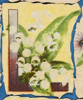 FLOWER L