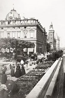 Flower market, bank of the River Seine, Paris, France