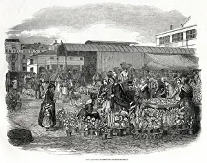 Wares Prints: Flower Market in Covent Garden, London 1848
