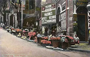 Steep Prints: Flower Market in Hong Kong, China