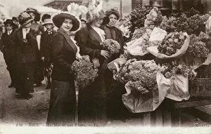 Bourgeoisie Collection: The Flower Market - Nice, France