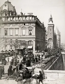 Flower market in Paris along bank of the River Seine