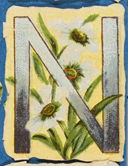 Alphabets Prints: FLOWER N