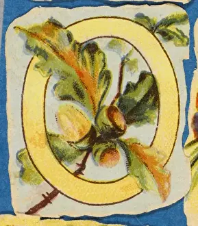 Alphabets Prints: FLOWER O