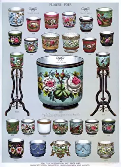 Horticultural Prints: Flower Pots, Plate 64