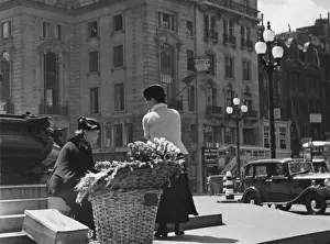 Flower Seller / Piccadilly