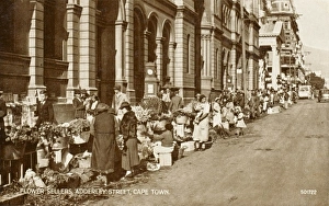 Adderley Gallery: Flower Sellers - Cape Town, South Africa