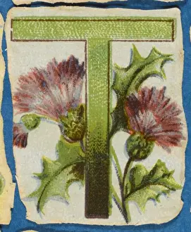 FLOWER T