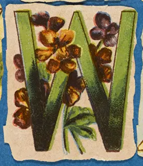 Alphabets Prints: FLOWER W