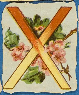 Alphabets Prints: FLOWER X