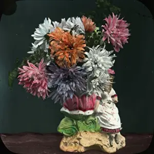 Flowers - Asters