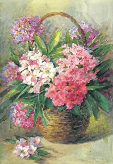 Pressland Prints: Flowers Flower arrangement Watercolour painting