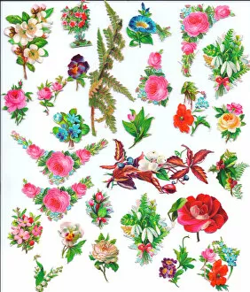 Flowers and foliage on an assortment of Victorian scraps