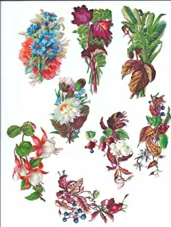 Flowers and foliage on eight Victorian scraps