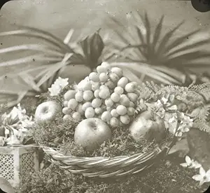 Flowers - Fruit in Basket
