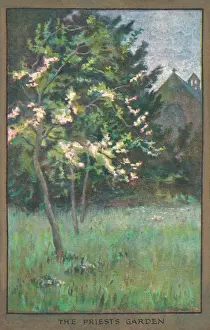 Flowers & Gardens