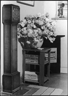 Flowers in Hallway
