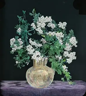 Hawthorn Prints: Flowers - Hawthorn Blossom