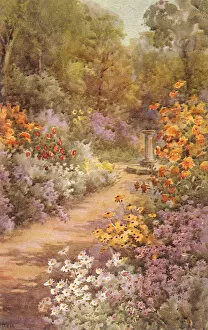 Alley Gallery: Flowers and Path