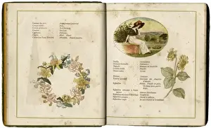 Flowers and People 1884