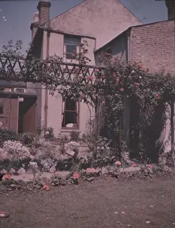 Trellis Prints: Flowers - Trellis arch with red roses