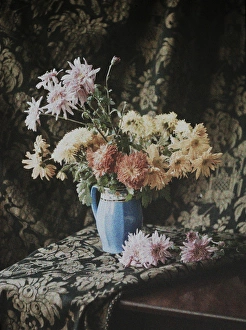 Images Dated 4th March 2015: Flowers in a vase