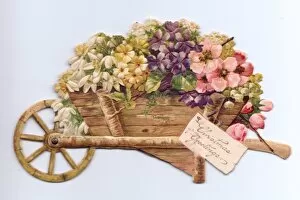 Flowers in a wheelbarrow on a cutout Christmas card