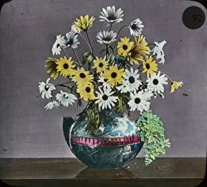 Flowers - Yellow and white daisies