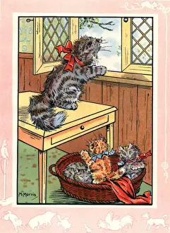 Fluff the cat and her three kittens