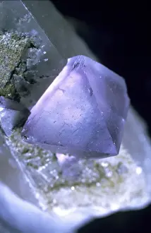 Fluorspar Prints: Fluorite